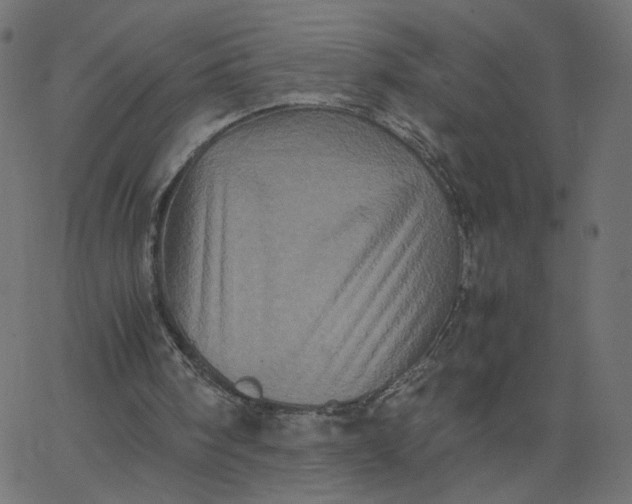 X0000067850098200604271655