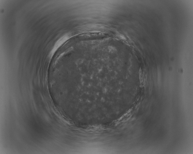 X0000067850099200604271655