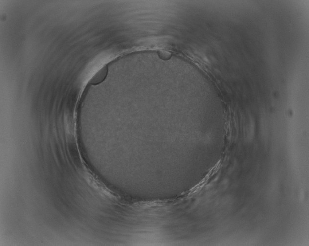 X0000067850100200604271655