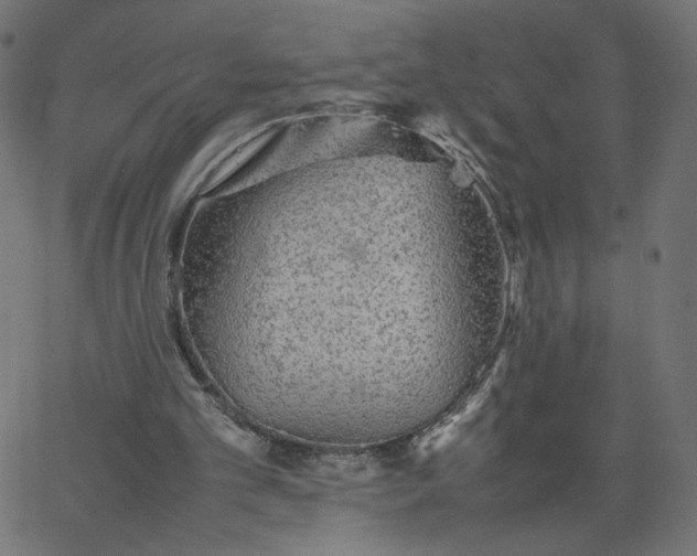 X0000067850101200604271655