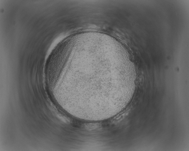 X0000067850102200604271655