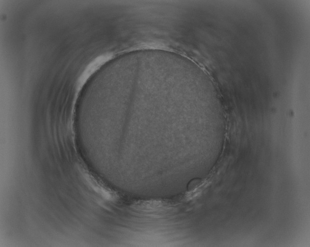 X0000067850104200604271655