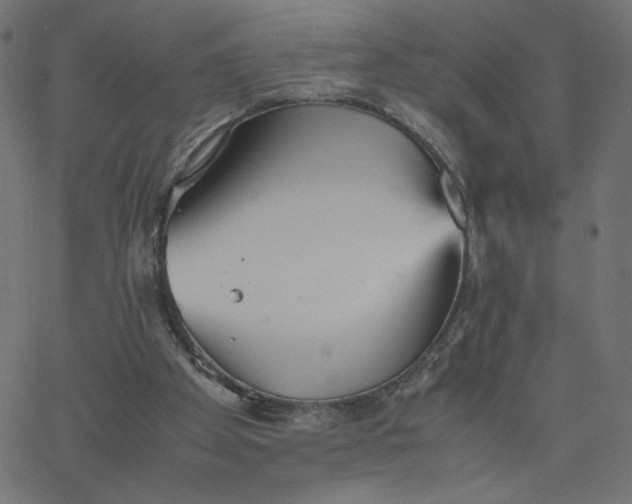 X0000067850105200604271655