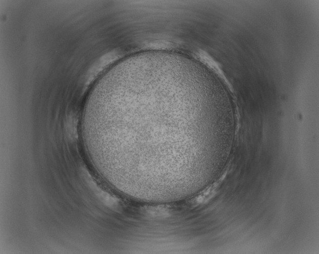 X0000067850106200604271655