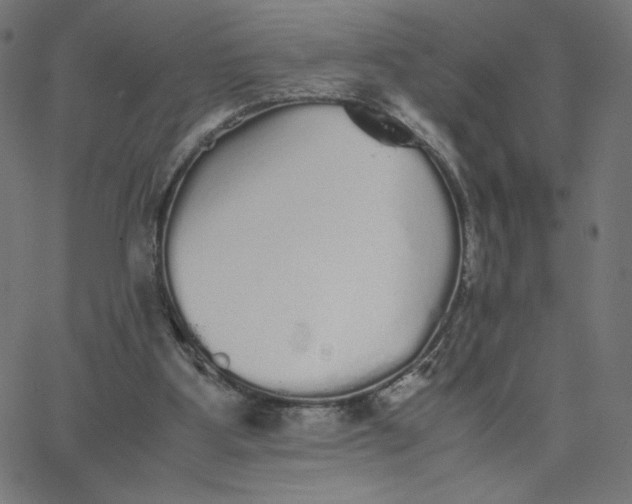 X0000067850107200604271655