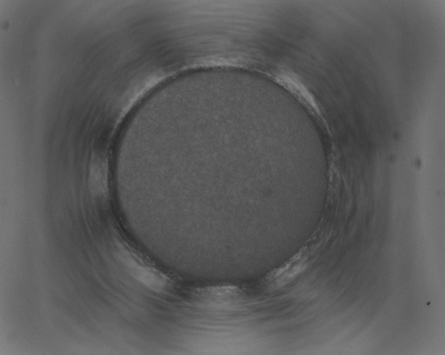 X0000067850108200604271655