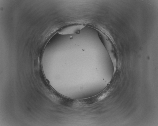 X0000067850109200604271655