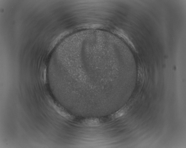 X0000067850110200604271655