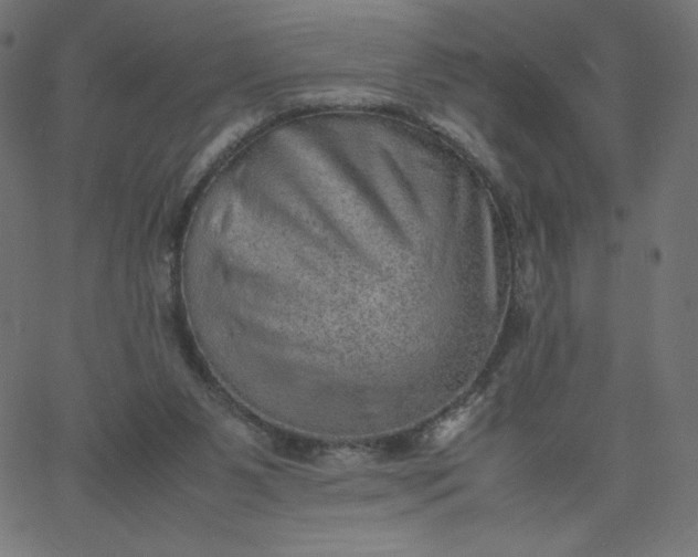 X0000067850111200604271655