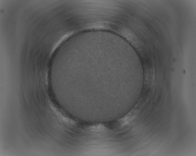 X0000067850112200604271655