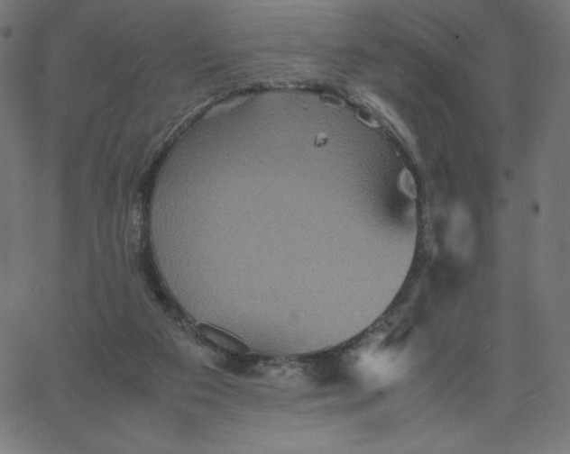 X0000067850113200604271655