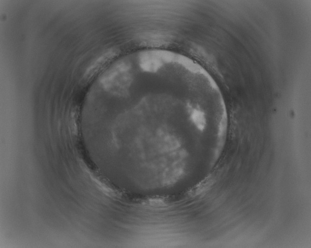 X0000067850114200604271655