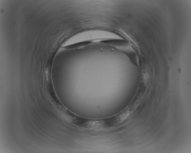 X0000067850117200604271655