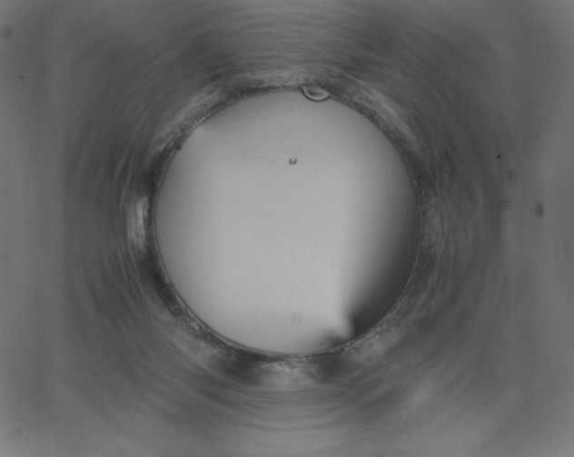 X0000067850118200604271655