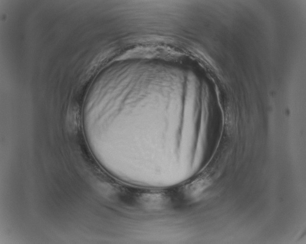 X0000067850119200604271655