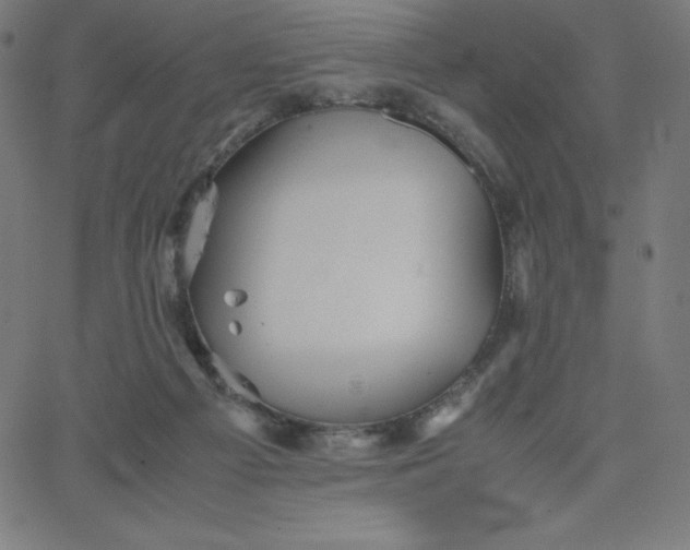 X0000067850121200604271655