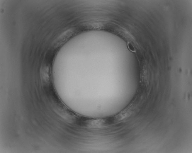 X0000067850122200604271655