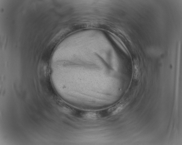 X0000067850123200604271655