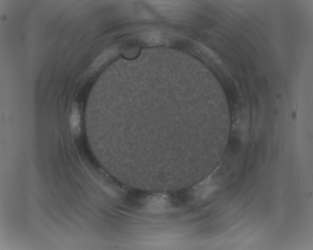 X0000067850124200604271655