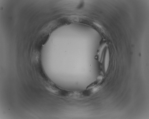 X0000067850125200604271655