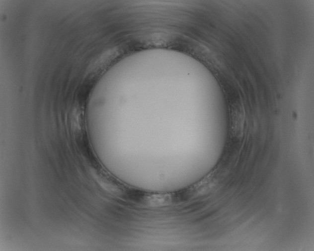 X0000067850126200604271655