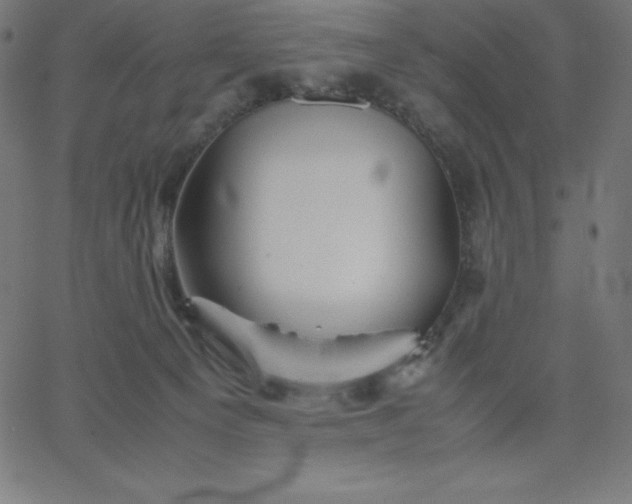 X0000067850129200604271655