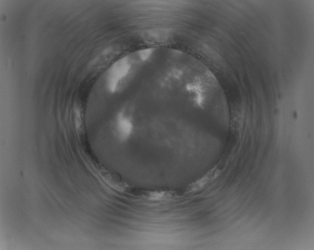 X0000067850130200604271655