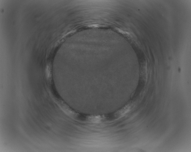 X0000067850131200604271655