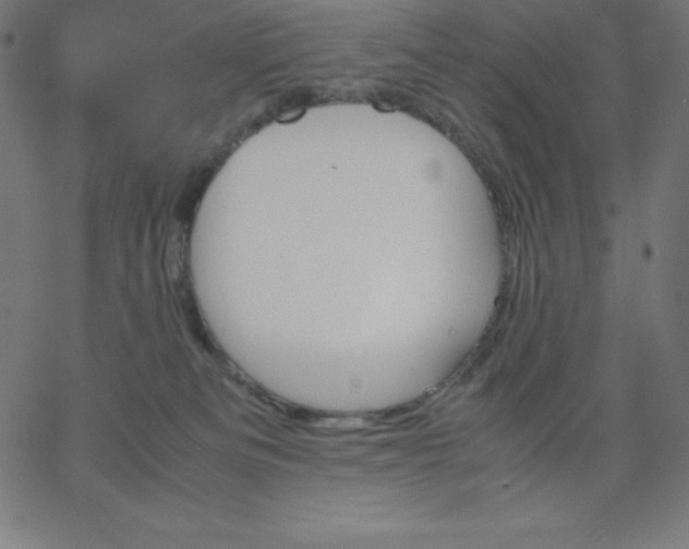 X0000067850133200604271655