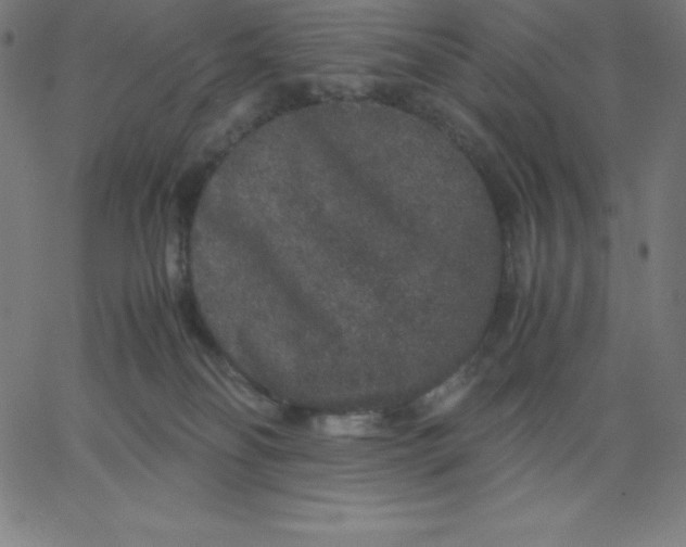 X0000067850134200604271655