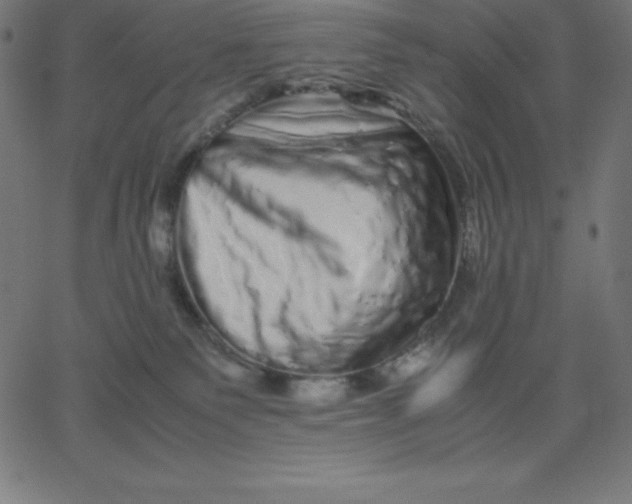 X0000067850135200604271655