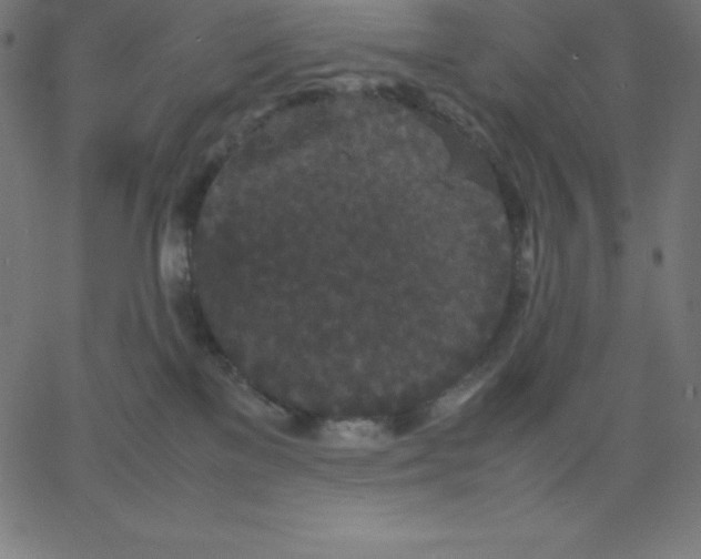 X0000067850137200604271654