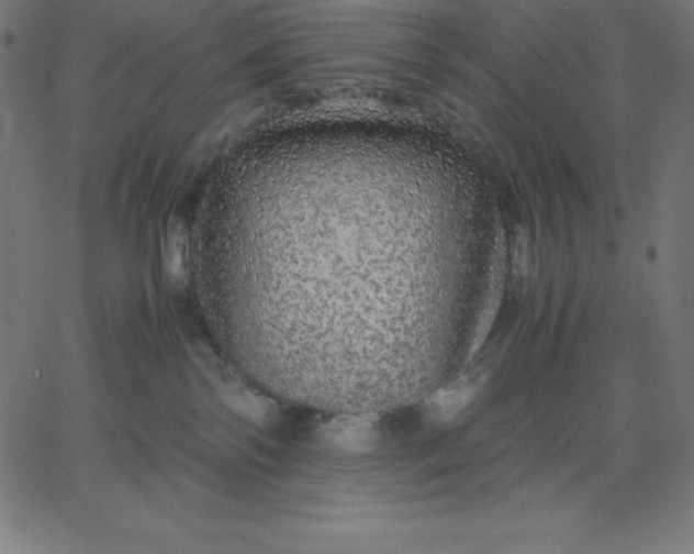 X0000067850138200604271654