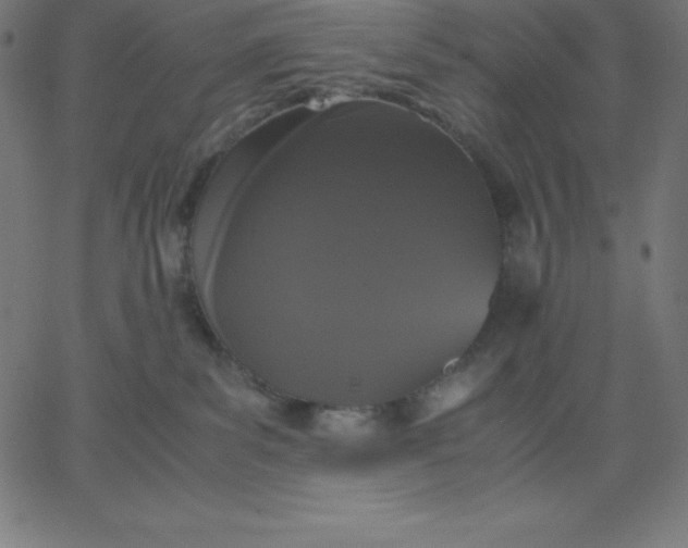 X0000067850139200604271654