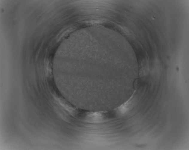 X0000067850140200604271654