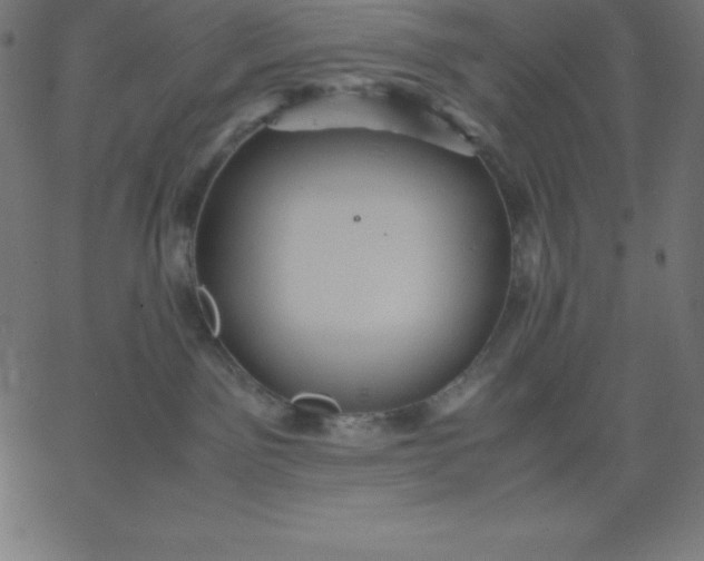 X0000067850141200604271654