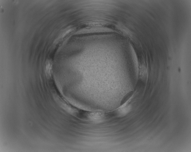 X0000067850142200604271654