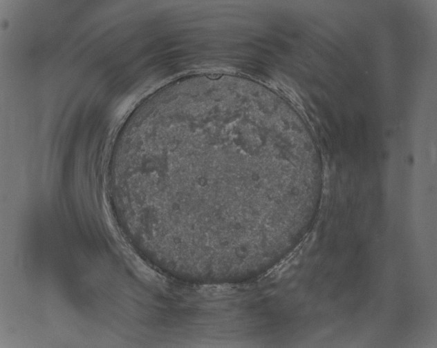 X0000067850145200604271654