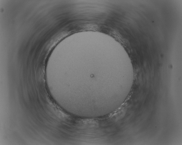 X0000067850146200604271654