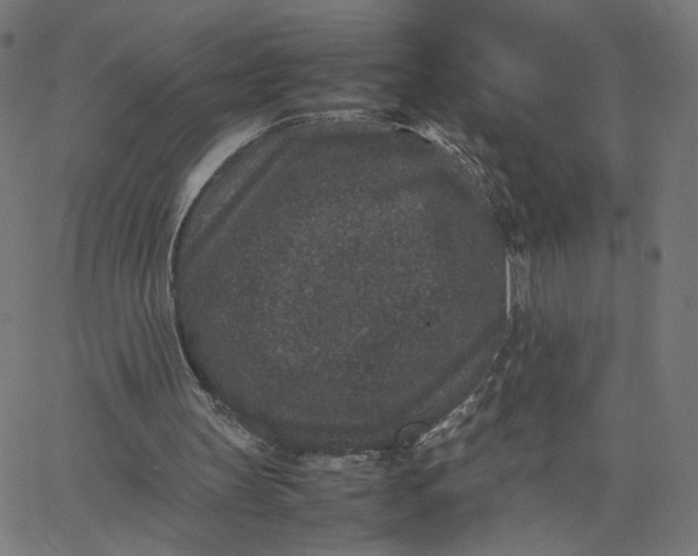 X0000067850147200604271654