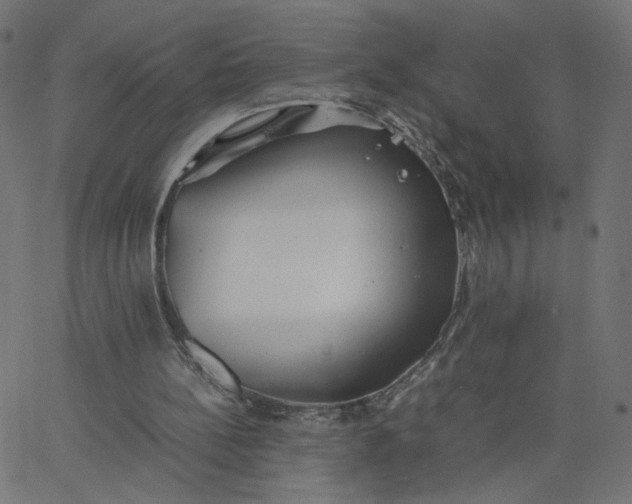 X0000067850148200604271654