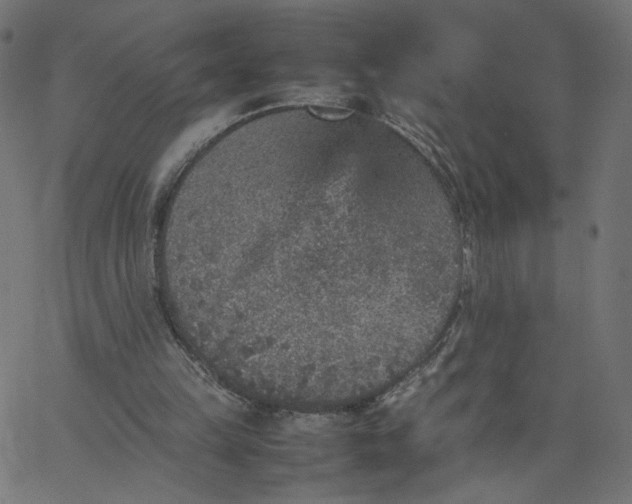 X0000067850149200604271654