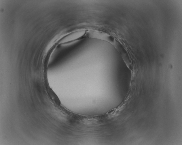 X0000067850150200604271654