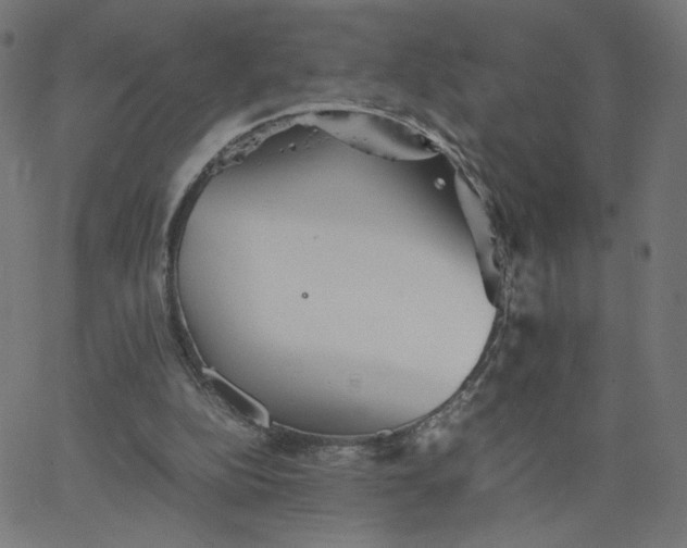 X0000067850152200604271654