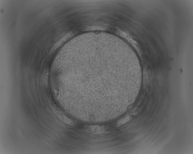 X0000067850153200604271654