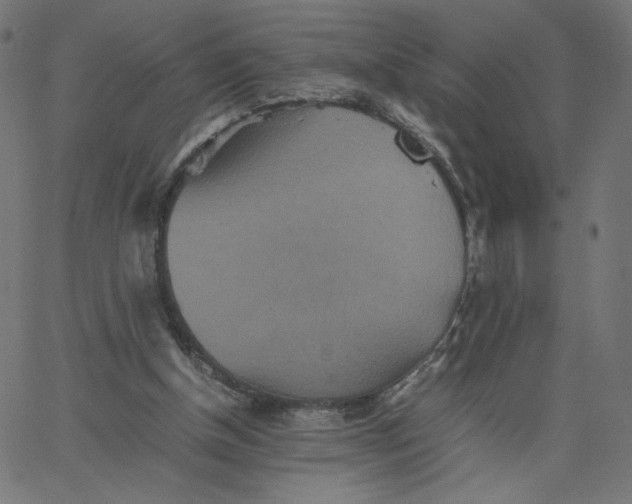 X0000067850154200604271654