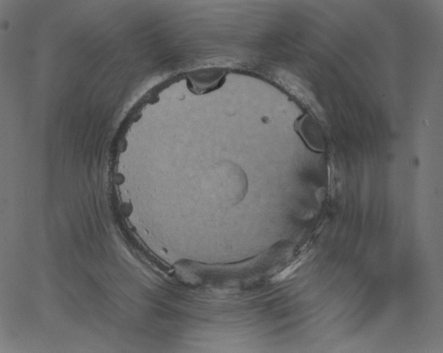 X0000067850156200604271654