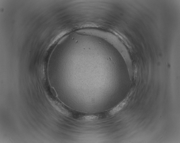 X0000067850158200604271654