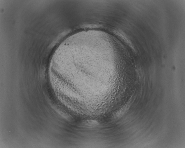 X0000067850159200604271654