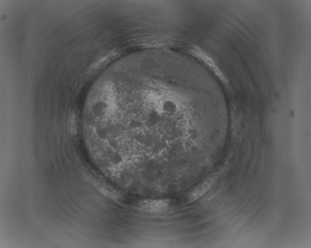 X0000067850161200604271654